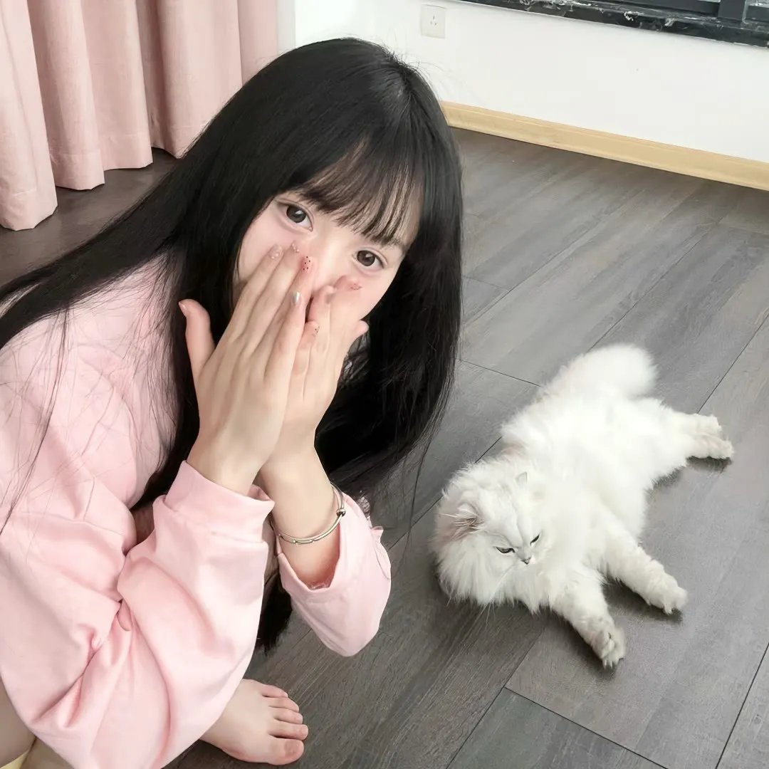 蜡笔小新第六季